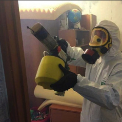 Уничтожение клопов в квартире. Хорошёво-Мнёвники