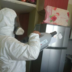 Уничтожение насекомых в квартире. Хорошёво-Мнёвники
